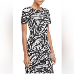 Ann Taylor Black & White Polka Dot Cheetah Leaf Sheath Dress